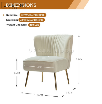 AEGIS Modern Velvet Leisure Chair