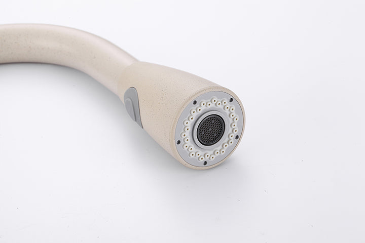 TISH Modern Matte Nude Tap Faucet