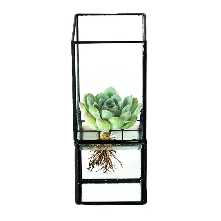 WISTMAN Minimalist Acrylic Planter