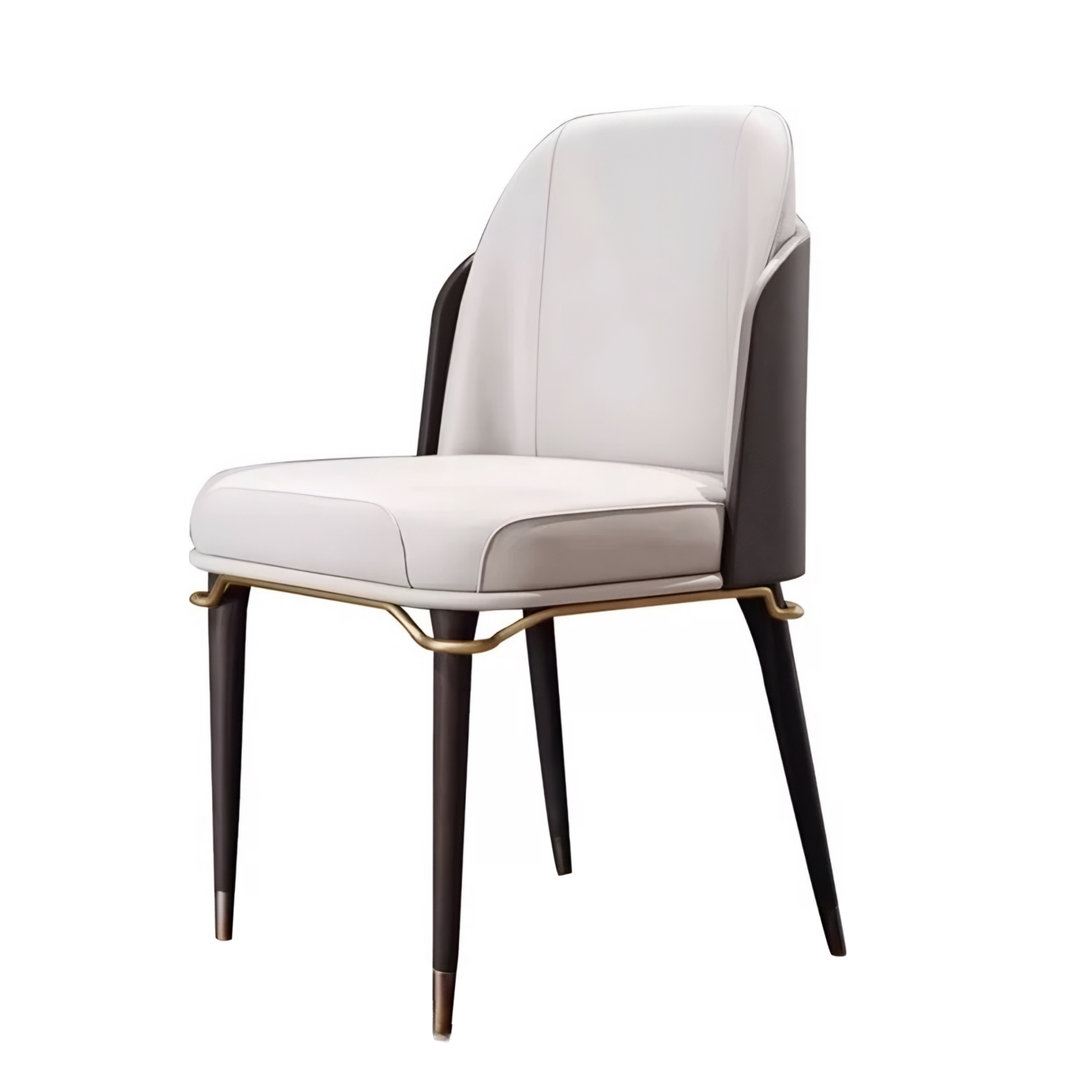 RAVELION Modern Leather Dining Chair - Cassa Haus Singapore