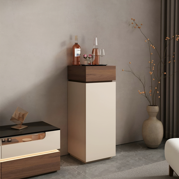 CALDIVO Modern Display Storage Cabinet - Cassa Haus Singapore