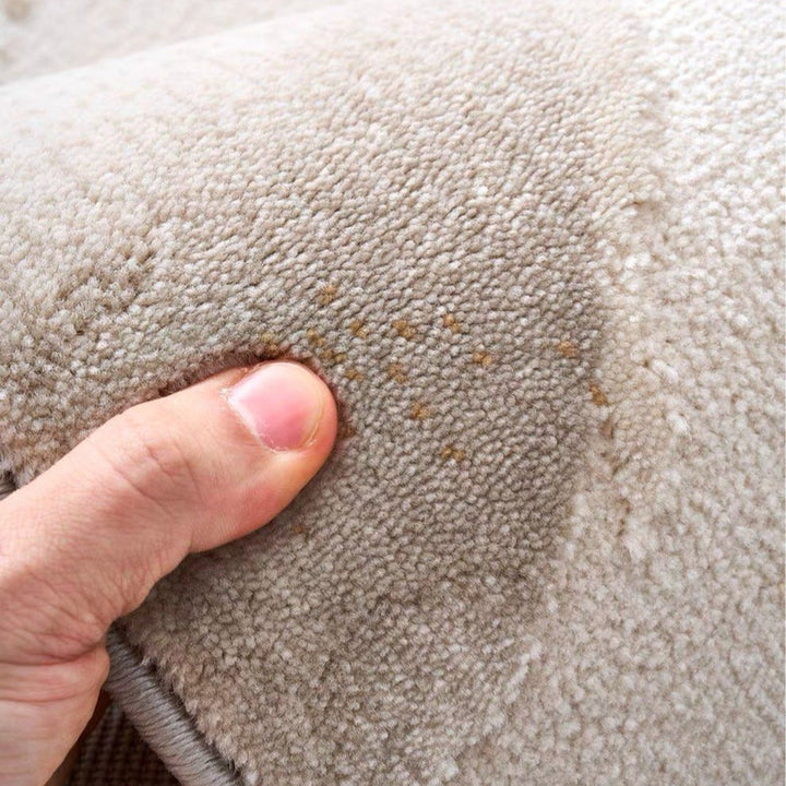 PLUMWISP Modern Soft Rug - Cassa Haus Singapore
