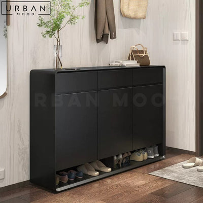 CARRIER Modern Shoe Cabinet