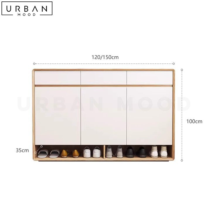 CARRIER Modern Shoe Cabinet