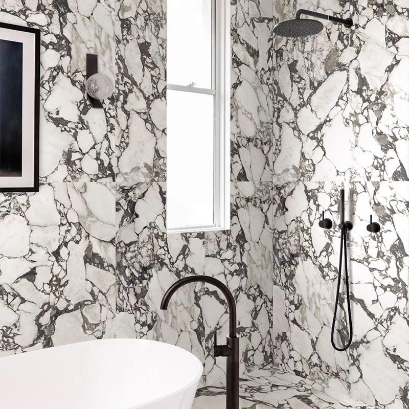 CFT1004 | Marble Wall Tile