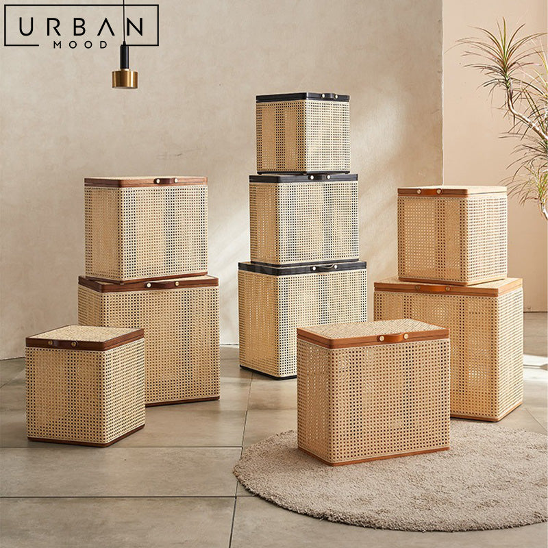 SB1213 | DULE Rattan Storage Box