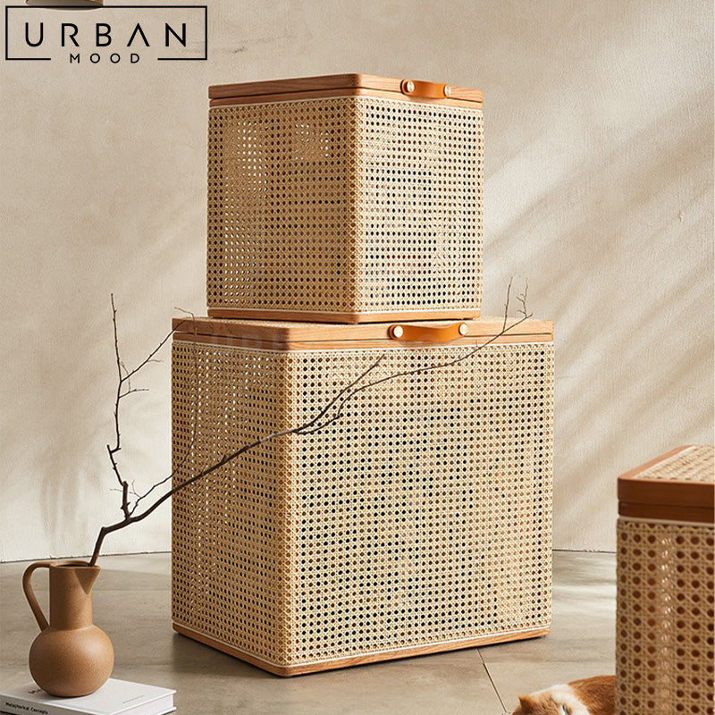 SB1213 | DULE Rattan Storage Box