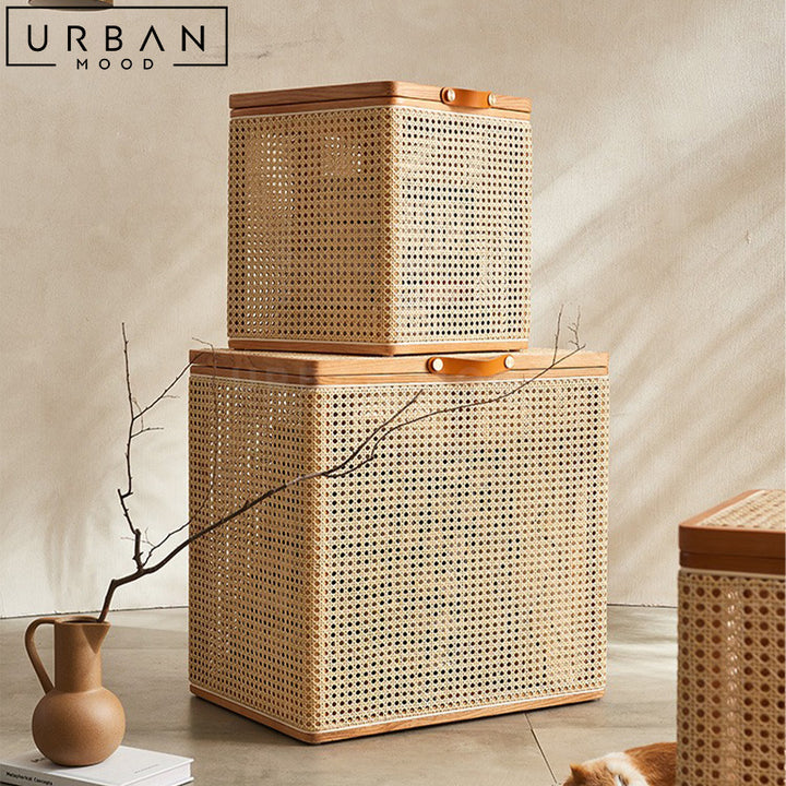 SB1213 | DULE Rattan Storage Box