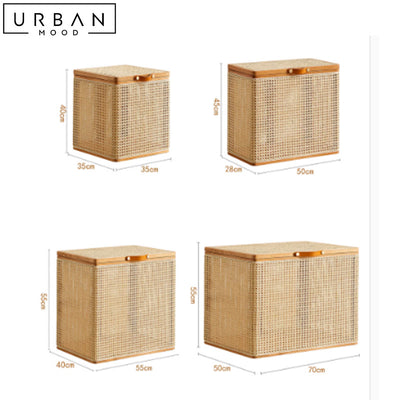 SB1213 | DULE Rattan Storage Box