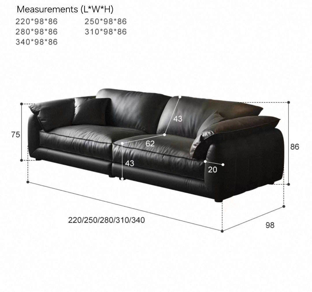 HOND Modern Genuine Leather Sofa