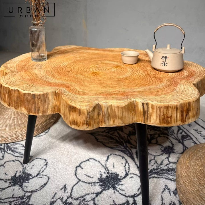 PONCE Rustic Solid Wood Coffee Table