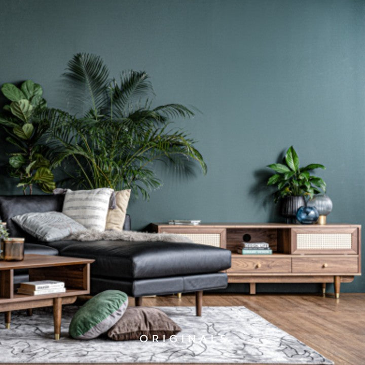 SALVATION Modern TV Console
