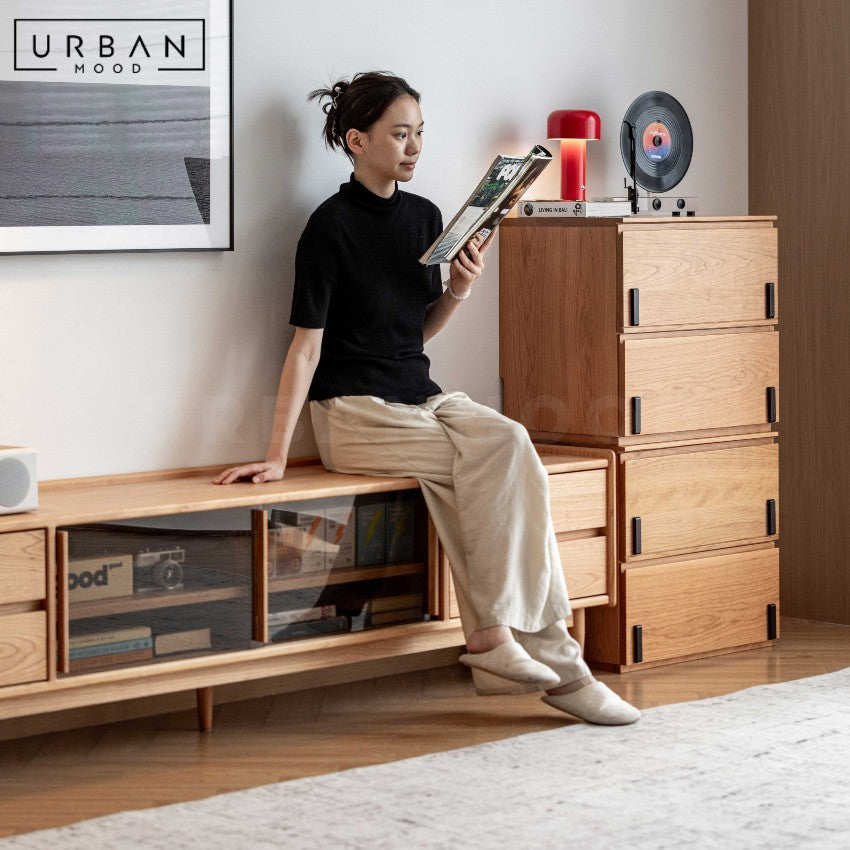 TILLEN Modern Solid Wood TV Console