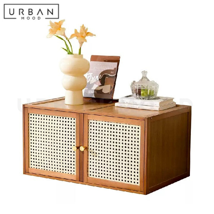 SANNEY Rustic Rattan Display Cabinet