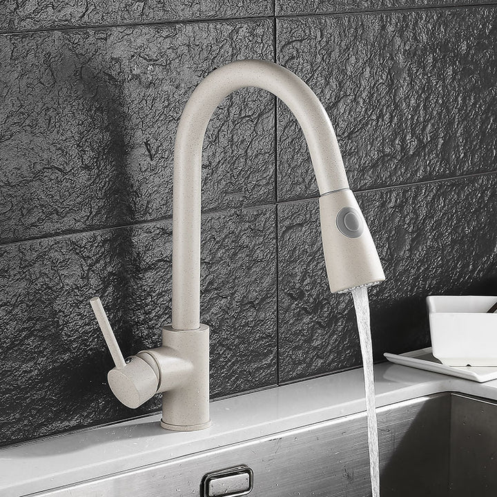 TISH Modern Matte Nude Extendable Tap Faucet