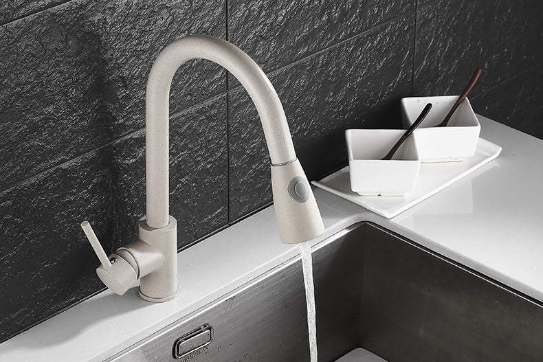 TISH Modern Matte Nude Extendable Tap Faucet