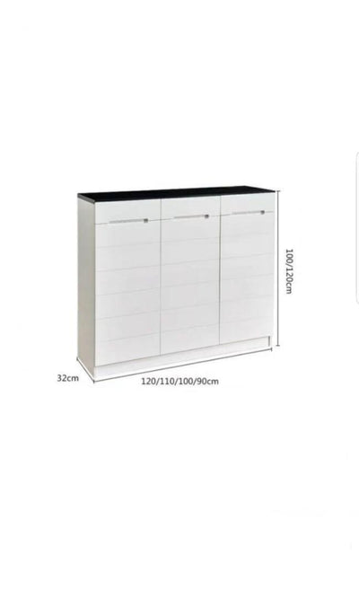 (Clearance) ALEXIS Modern Shoe Cabinet
