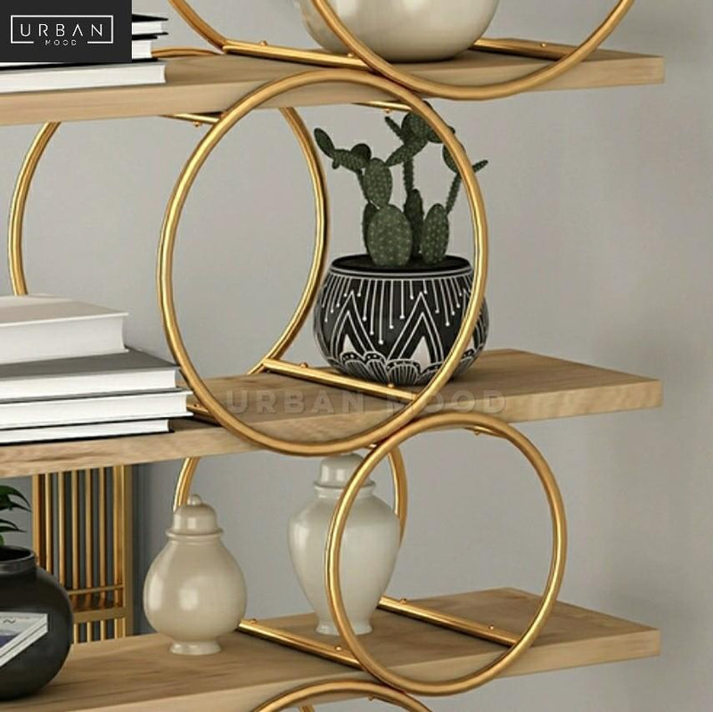 DISTINCT Modern Display Shelf
