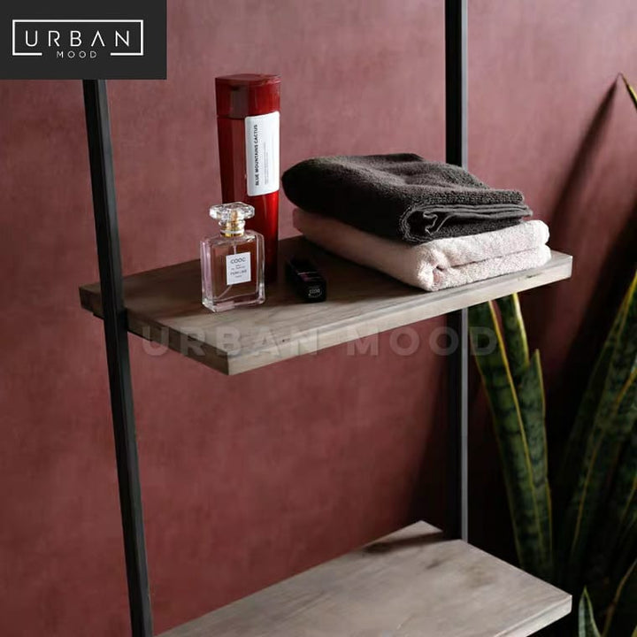 DEYN Modern Industrial Ladder Rack & Mirror