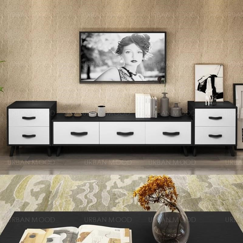 JORG Modern Vintage Wood TV Console & Coffee Table