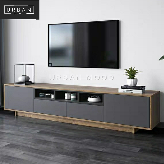 CIDER Modern Industrial TV Console