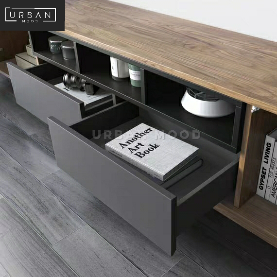 CIDER Modern Industrial TV Console