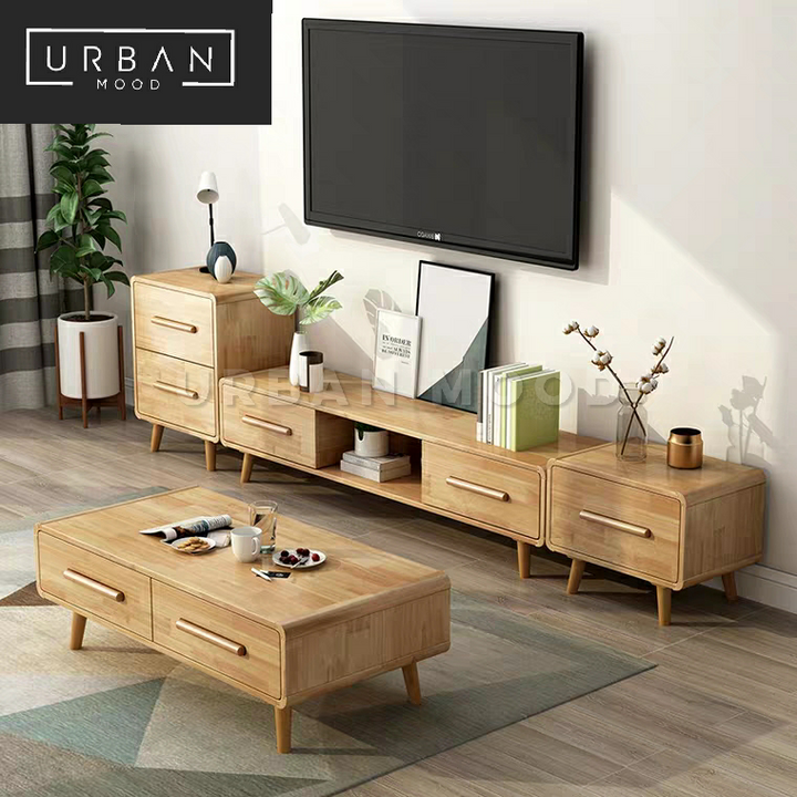 DARWIN Scandinavian TV Console