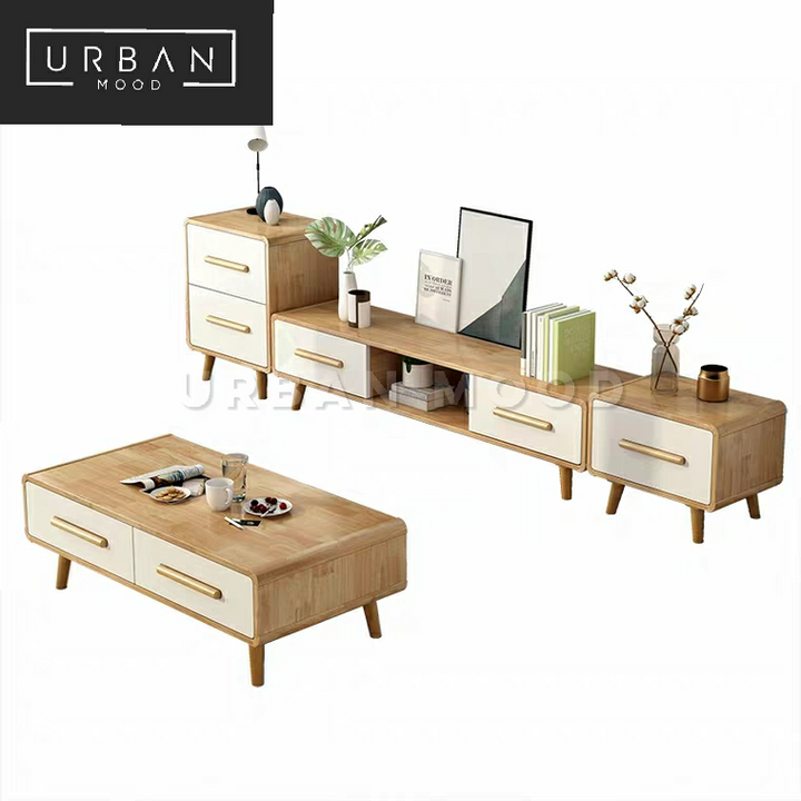 DARWIN Scandinavian TV Console