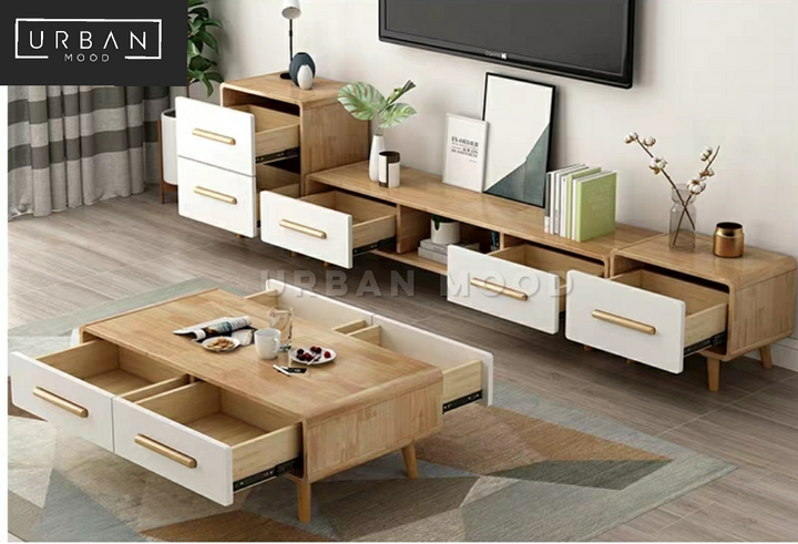 DARWIN Scandinavian TV Console