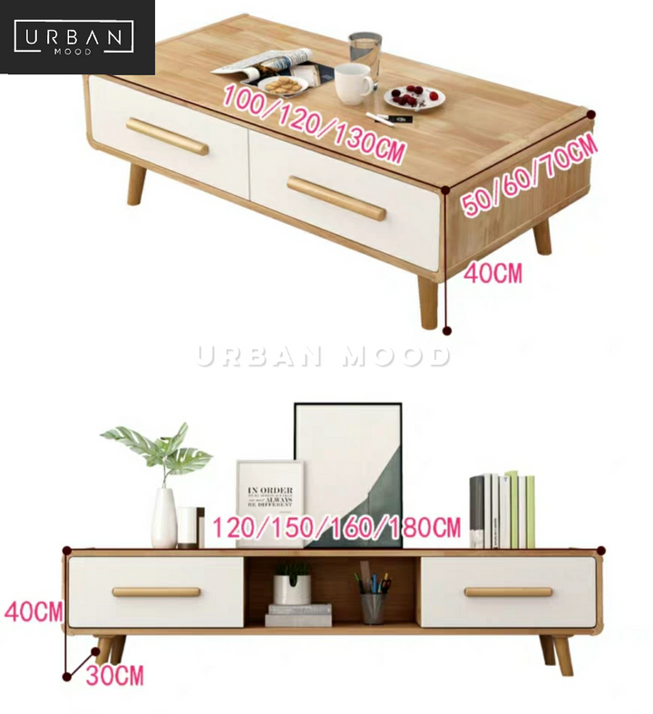 DARWIN Scandinavian TV Console