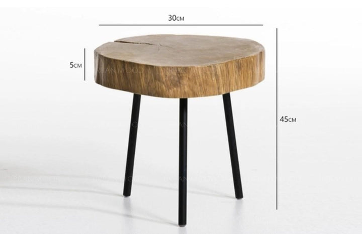 SHINO Natural Wood Slab Side Table / Stool