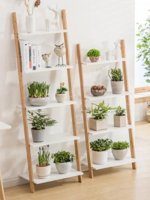 WALLY Natural Wood Display Storage Rack