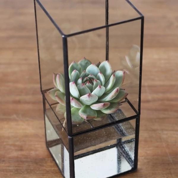 WISTMAN Minimalist Acrylic Planter