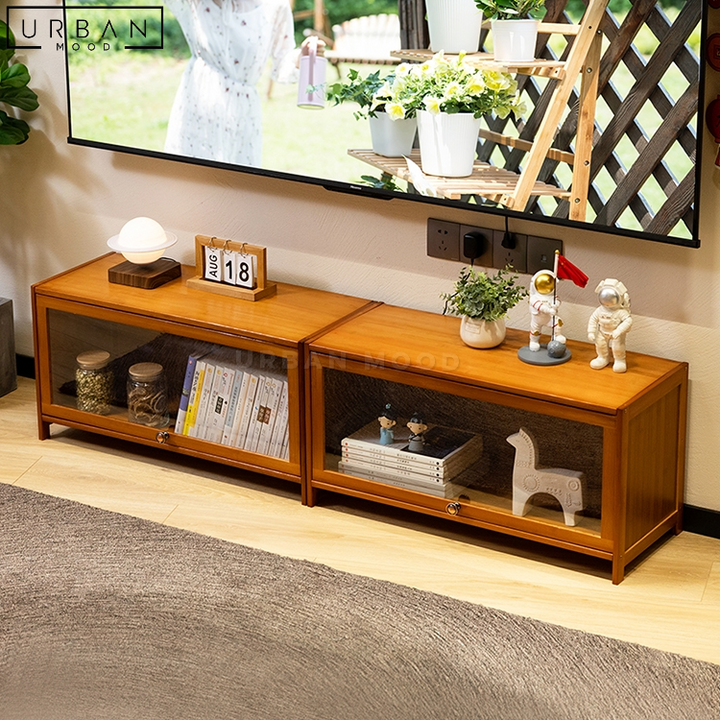 RAVIN Rustic Modular TV Console