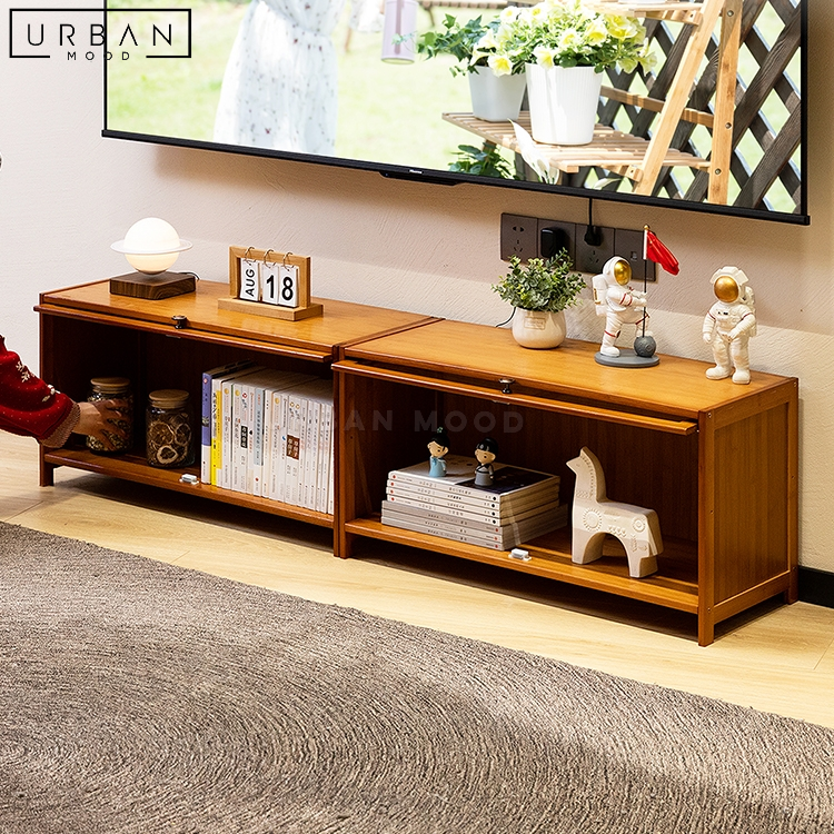 RAVIN Rustic Modular TV Console